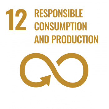 UN SDG Icon for SDG 12: Responsible Consumption and Production