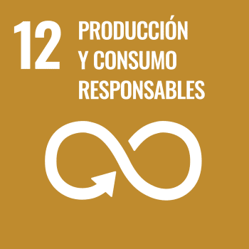 UN SDG Icon for SDG 12: Responsible Consumption and Production