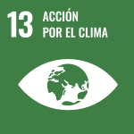 UN SDG Icon for SDG 13: Climate Action