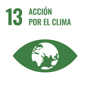 UN SDG Icon for SDG 13: Climate Action